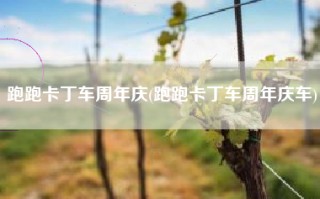 跑跑卡丁车周年庆(跑跑卡丁车周年庆车)