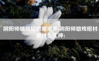 阴阳师蜡烛棺材哪里多(阴阳师蜡烛棺材是什么式神)