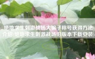 绝地求生刺激战场大骗子称号获得方法介绍(绝地求生刺激战场旧版本下载安装)
