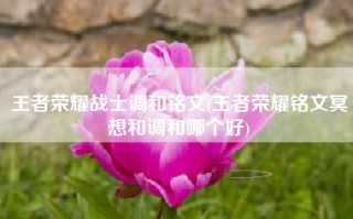 王者荣耀战士调和铭文(王者荣耀铭文冥想和调和哪个好)