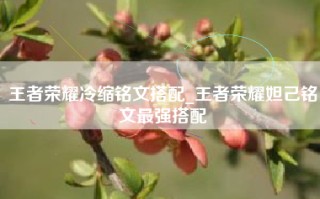 王者荣耀冷缩铭文搭配_王者荣耀妲己铭文最强搭配