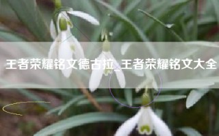 王者荣耀铭文德古拉_王者荣耀铭文大全