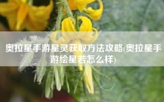 奥拉星手游星灵获取方法攻略(奥拉星手游绘星若怎么样)