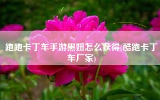跑跑卡丁车手游黑妞怎么获得(酷跑卡丁车厂家)