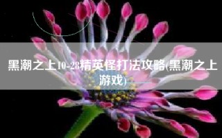 黑潮之上10-28精英怪打法攻略(黑潮之上游戏)
