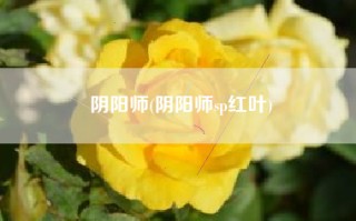 阴阳师(阴阳师sp红叶)