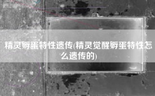 精灵孵蛋特性遗传(精灵觉醒孵蛋特性怎么遗传的)