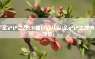 金铲铲之战6.16维护到几点(金铲铲之战国际服)