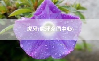 虎牙(虎牙充值中心)