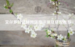艾尔多战记赫姆强度评测及搭配推荐