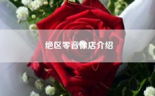 绝区零音像店介绍