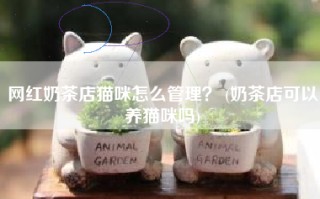 网红奶茶店猫咪怎么管理？ (奶茶店可以养猫咪吗)
