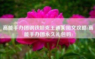 高能手办团钢铁坦克王通关图文攻略(高能手办团永久礼包码)