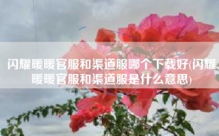 闪耀暖暖官服和渠道服哪个下载好(闪耀暖暖官服和渠道服是什么意思)