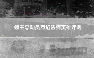 领主总动员烈焰法师英雄评测