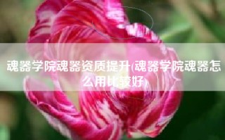 魂器学院魂器资质提升(魂器学院魂器怎么用比较好)
