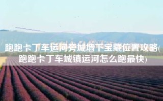 跑跑卡丁车运河旁城墙下宝藏位置攻略(跑跑卡丁车城镇运河怎么跑最快)