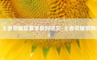 王者荣耀新赛季狼狗铭文_王者荣耀狼狗id