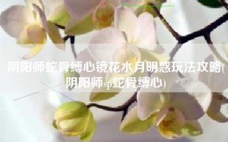 阴阳师蛇骨缚心镜花水月明惑玩法攻略(阴阳师sp蛇骨缚心)