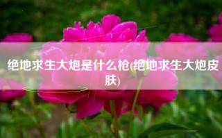 绝地求生大炮是什么枪(绝地求生大炮皮肤)