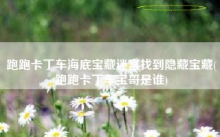 跑跑卡丁车海底宝藏迷宫找到隐藏宝藏(跑跑卡丁车宝哥是谁)