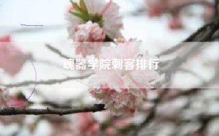 魂器学院刺客排行