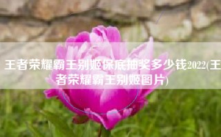 王者荣耀霸王别姬保底抽奖多少钱2022(王者荣耀霸王别姬图片)