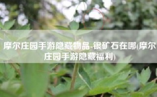 摩尔庄园手游隐藏物品-银矿石在哪(摩尔庄园手游隐藏福利)