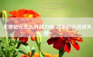天使纪元怎么升战力快(战争纪元终战天使)