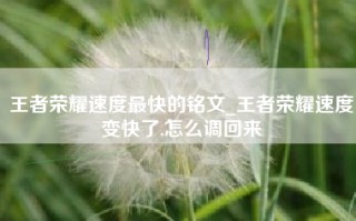 王者荣耀速度最快的铭文_王者荣耀速度变快了,怎么调回来