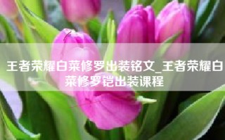 王者荣耀白菜修罗出装铭文_王者荣耀白菜修罗铠出装课程