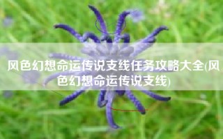 风色幻想命运传说支线任务攻略大全(风色幻想命运传说支线)