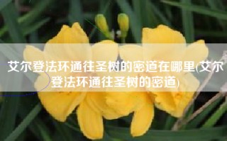 艾尔登法环通往圣树的密道在哪里(艾尔登法环通往圣树的密道)