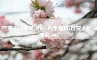 百变大侦探破浪1603凶手是谁(百变大侦探破浪1603)