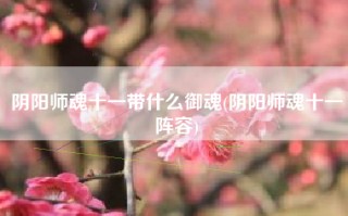 阴阳师魂十一带什么御魂(阴阳师魂十一阵容)