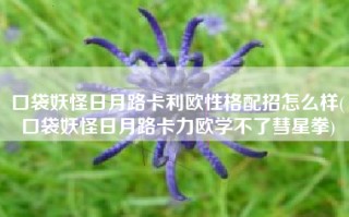 口袋妖怪日月路卡利欧性格配招怎么样(口袋妖怪日月路卡力欧学不了彗星拳)