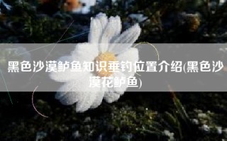黑色沙漠鲈鱼知识垂钓位置介绍(黑色沙漠花鲈鱼)