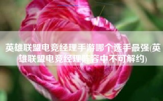英雄联盟电竞经理手游哪个选手最强(英雄联盟电竞经理阵容中不可解约)