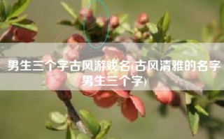 男生三个字古风游戏名(古风清雅的名字男生三个字)