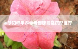 阴阳师手游赤舌御魂最强搭配推荐