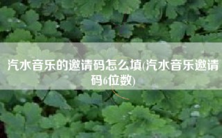 汽水音乐的邀请码怎么填(汽水音乐邀请码6位数)