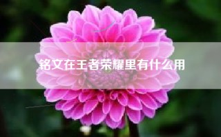 铭文在王者荣耀里有什么用