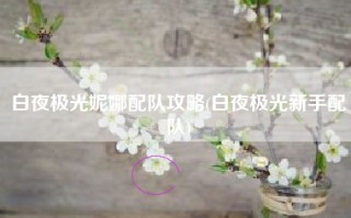 白夜极光妮娜配队攻略(白夜极光新手配队)
