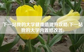 下一站我的大学健康值提升攻略(下一站我的大学内置修改器)