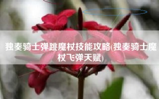 独奏骑士弹跳魔杖技能攻略(独奏骑士魔杖飞弹天赋)