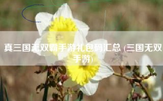 真三国无双霸手游礼包码汇总 (三国无双手游)