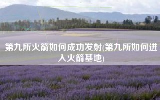 第九所火箭如何成功发射(第九所如何进入火箭基地)