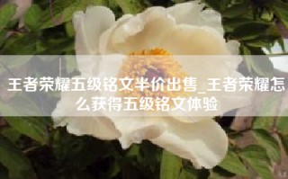 王者荣耀五级铭文半价出售_王者荣耀怎么获得五级铭文体验