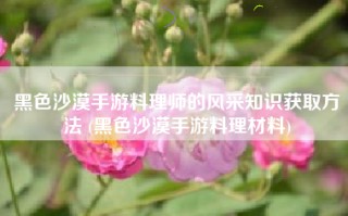 黑色沙漠手游料理师的风采知识获取方法 (黑色沙漠手游料理材料)