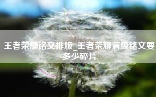 王者荣耀铭文排版_王者荣耀满级铭文要多少碎片